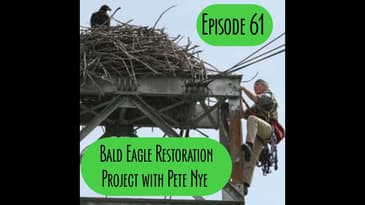 Episode 61 - Bald Eagle Restoration Project with Pete Nye