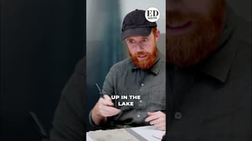 Be a Tree? Artist Explores Otherworldly Life in VR! #shorts