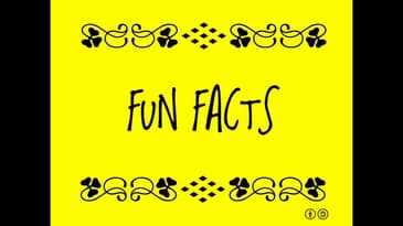 Did you know? (random facts edition)