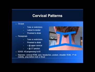 Soft Tissue Patterns Sample
