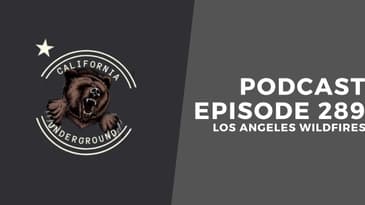 Discussing the Los Angeles Wildfires