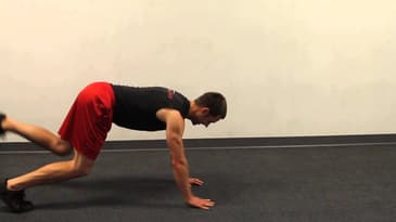 Extension Bear Crawl - Advanced