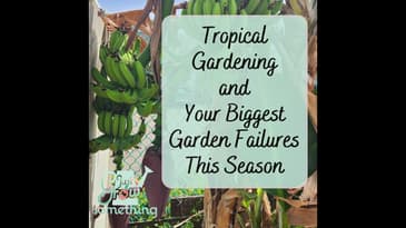 Tropical Gardening, Plus Your Biggest Garden Failures of the Season - Ep. 223