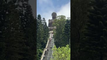 Amazing #bigbuddha #shorts #lantauisland #tiantanbuddha #hongkong #empath #peace