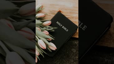 45-The Epistle of Paul the Apostle to the Romans - Chapter 14