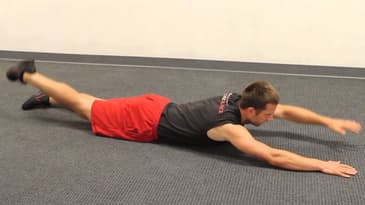 Hand-Leg Opposite Lifts - Beginner