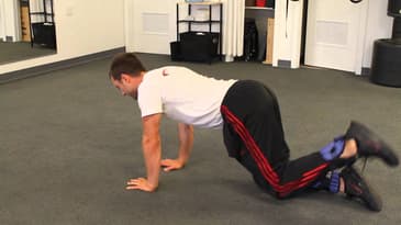Weighted Donkey Kicks
