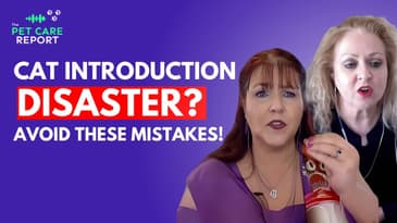 Linda Hall and Rita Reimers: Tips for a Smooth Cat Meet & Greet