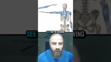 All muscles are connected #healthy #muscles #gym