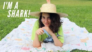 I'm A Shark!