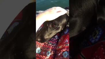 MICRO MOMENTS! Who is this cutie in Guatemala!?