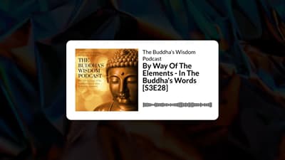 By Way Of The Elements - In The Buddha's Words [S3E28] | The Buddha’s Wisdom Podcast