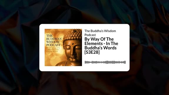By Way Of The Elements - In The Buddha's Words [S3E28] | The Buddha’s Wisdom Podcast