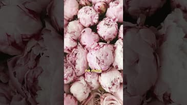 Valentine's Day Aftermath #marriage