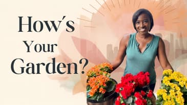 How to Stop Negative Thoughts from Taking Root