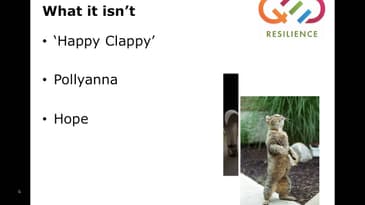 Optimism and Resilience