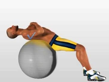 muscle exercises abdominal 5