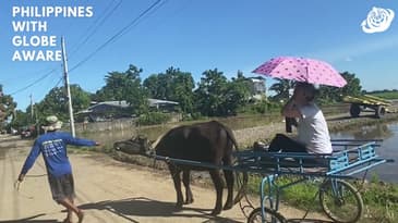 This Carabao Has A Mind Of It's Own! A Globe Aware Summer in the Philippines
