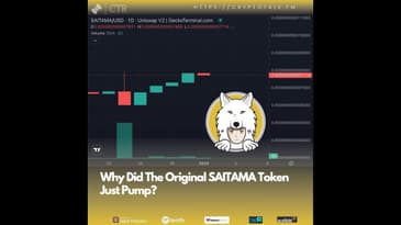 Why Did The Original #SAITAMA Inu Token (2021) Just Pump?