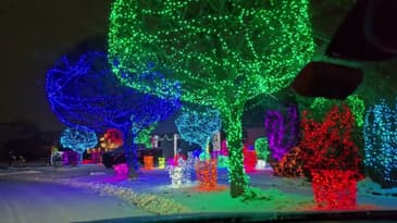 Driving around Sterling Heights Michigan, looking at the lights. 