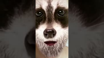 Jag skrev till alla på jobbet vad jag egentligen tyckte!!