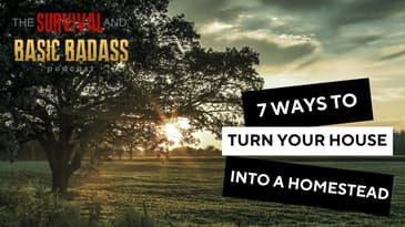 What I Learned from Turning My Home into a Self Sufficient HOMESTEAD