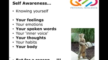 Personal Resilience   ROPES   Regulation