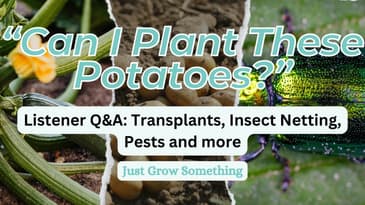 Potatoes, Transplants, Insect Netting, and More: Garden Q&A - Episode 250