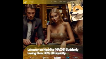 Leicester on Hachiko (#HACHI) Suddenly Losing Over 30% Of Liquidity (OOC)