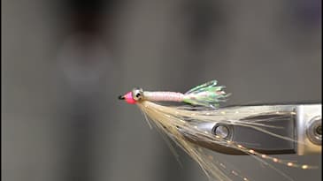 JOIN ME FOR MY 4 PART INTRO TO SALTWATER PATTERNS. FOR YOUR UPCOMING SALTWATER TRIP.