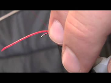 Flex Floss Worm