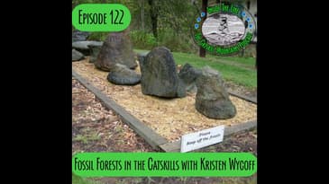 Episode 122 - Catskill Fossil Forests with Kristen Wycoff