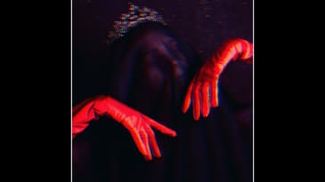 The Woman You Can Only See When You're Not Looking