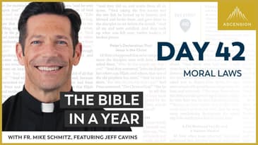 Day 42: Moral Laws  — The Bible in a Year (with Fr. Mike Schmitz)