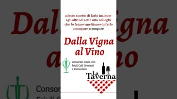Tazzelenghe è protagonista della 9o puntata di Dalla Vigna al Vino su La Taverna Friuli podcast!