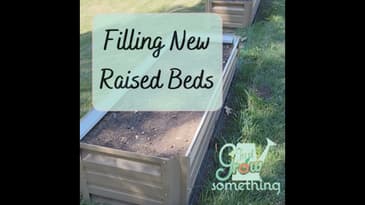 Ep. 136 - Filling New Raised Beds
