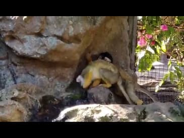 MICRO MOMENTS! Do you see them!? South Africa with Globe Aware