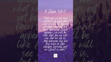 #Bible Verse - 1 John 3:2-3 - #motivation #inspiration #faith