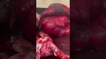 Visit with Me series! This time it’s Anish Kapoor at Hayward Gallery #iloveart #artdiaries #artbuzz