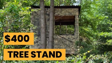 Ultimate DIY Deer Hunting Tree Stand: How to Build the Perfect Deer Stand for 2025