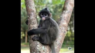 Introducing our Laos Volunteer Vacation! Globe Aware