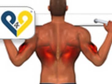 Trazioni alla sbarra - Esercizi per Dorsali