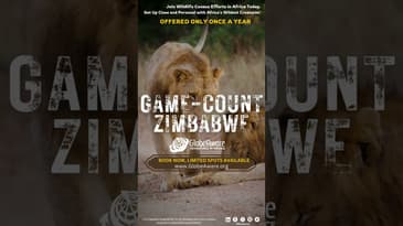 The Game-Count Special is back! Globe Aware Zimbabwe