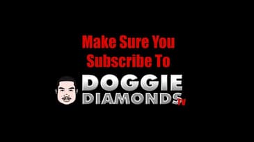 Subscribe To Doggie Diamonds TV Youtube Channel