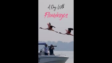 It’s Earth Day! We’re taking you through a famous flamingo sanctuary