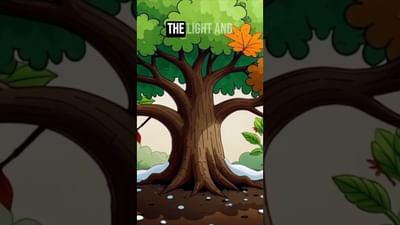 You Can’t Microwave an Acorn 🌳