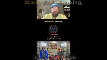 Shark Attacks and New Yorkers