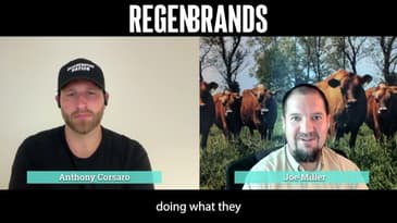 This Dairy Brand Is Just 1 of 19 Linked Companies — Here’s Why