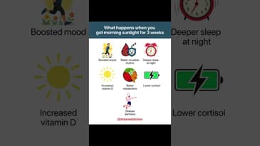 What happens when you get morning sunlight for 3 weeks #longevity #sunlight #healthyliving