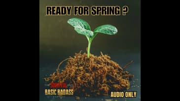 Starting Seeds for Homesteading: Everything You Need to Know